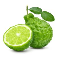 bergamot